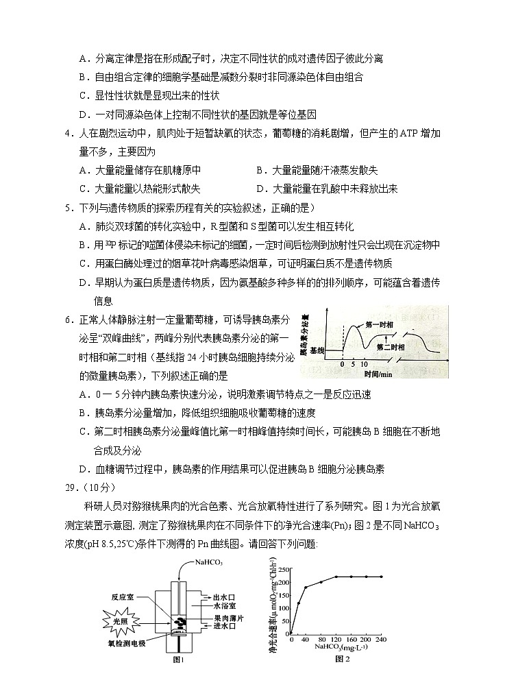 2021银川17校联考高三下学期5月普通高等学校招生全国统一考试理综-生物试题含答案第2页