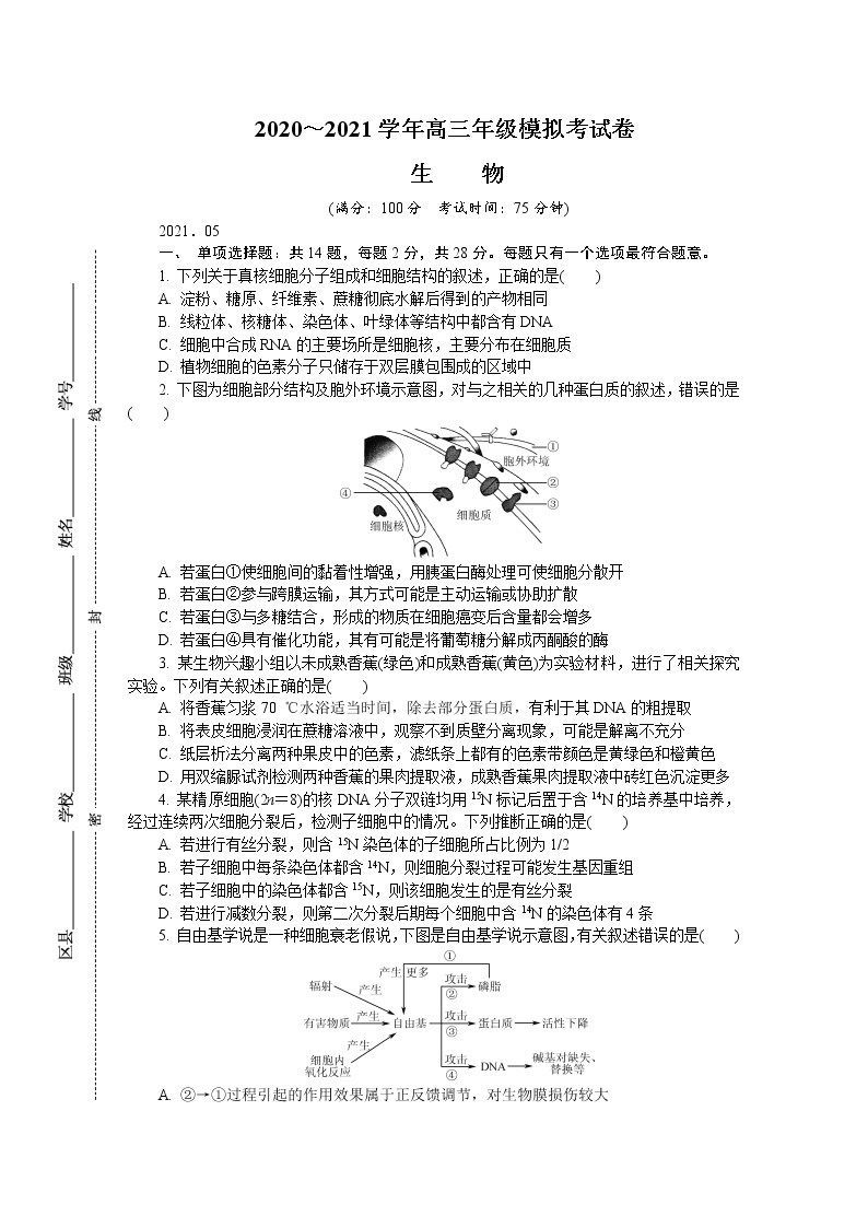 2021南京高三下学期5月第三次模拟考试生物含答案01