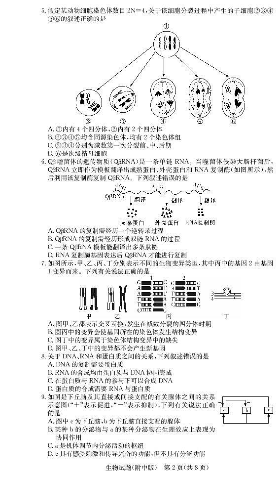2021湖南师大附中高三下学期高考模拟试卷(二)生物试题PDF版含答案02