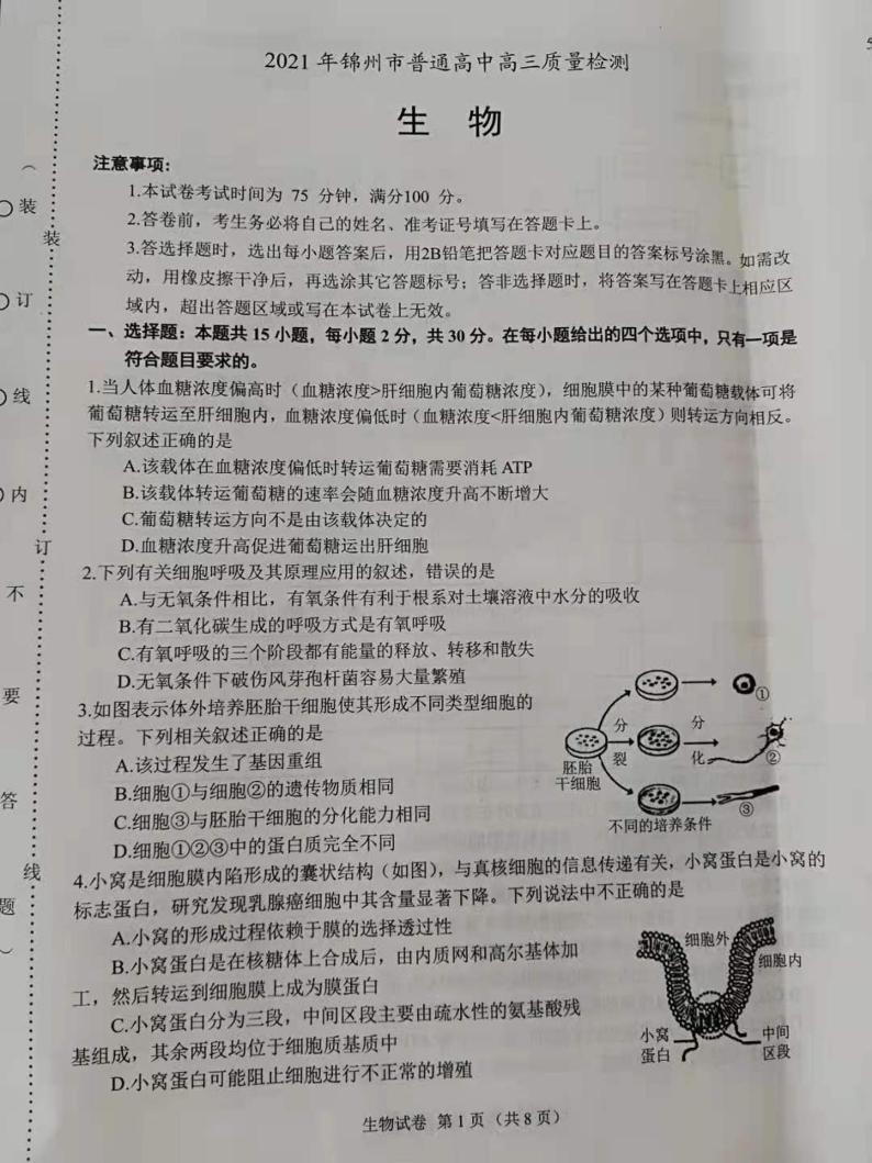 2021锦州高三下学期4月质量检测（一模）生物试题图片版含答案01