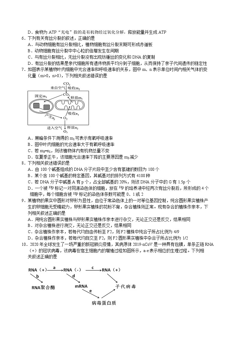2021湖北省十一校高三下学期3月第二次联考生物试题含答案第2页