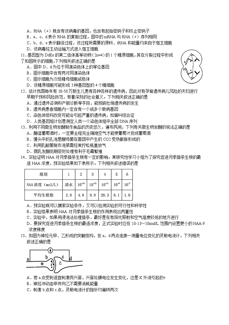 2021湖北省十一校高三下学期3月第二次联考生物试题含答案第3页