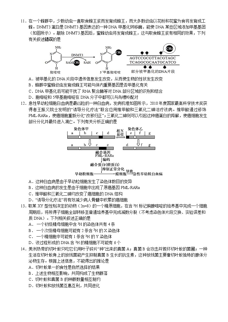 2021江苏省南菁高级中学高三上学期第一次月考生物试题含答案第3页
