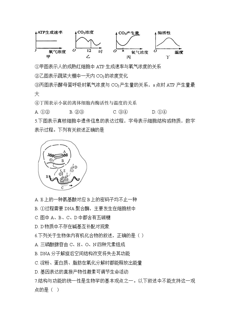 2021定远县育才学校高三上学期第二次月考生物试卷含答案第2页