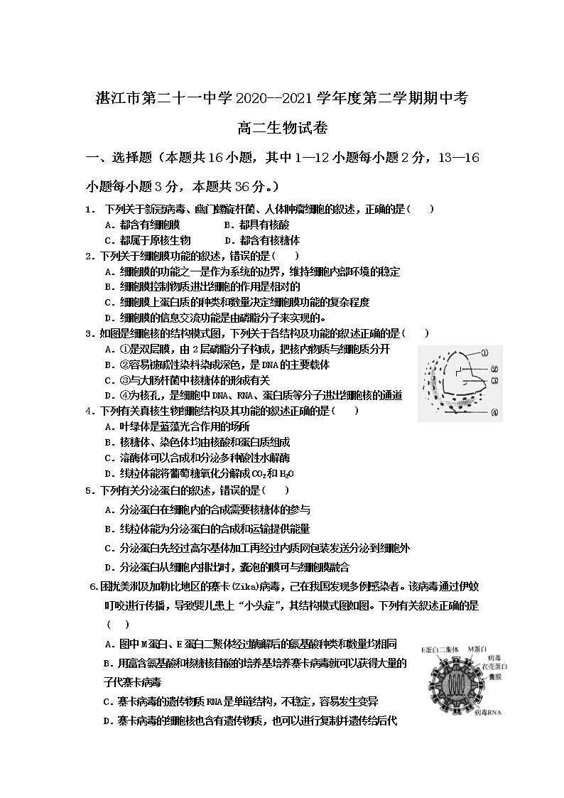 2021湛江第二十一中学高二下学期期中考试生物试卷含答案第1页