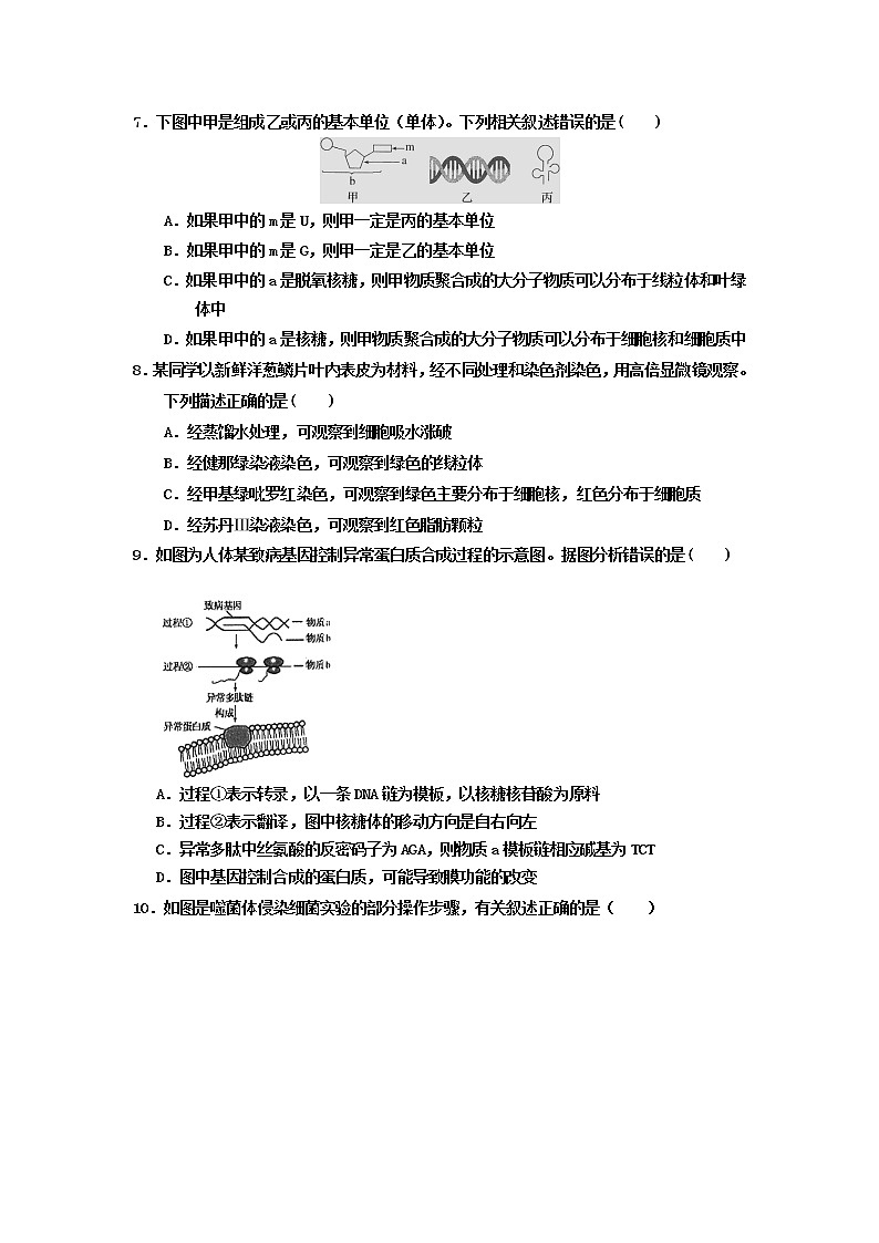 2021湛江第二十一中学高二下学期期中考试生物试卷含答案第2页