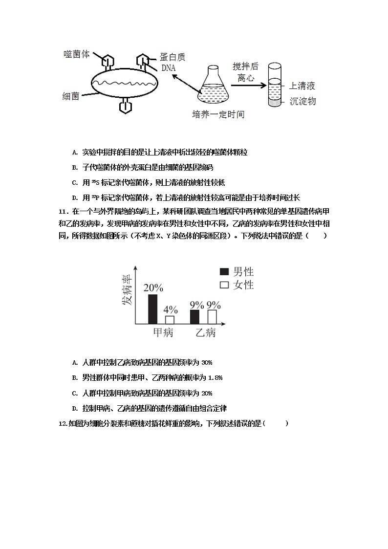 2021湛江第二十一中学高二下学期期中考试生物试卷含答案第3页