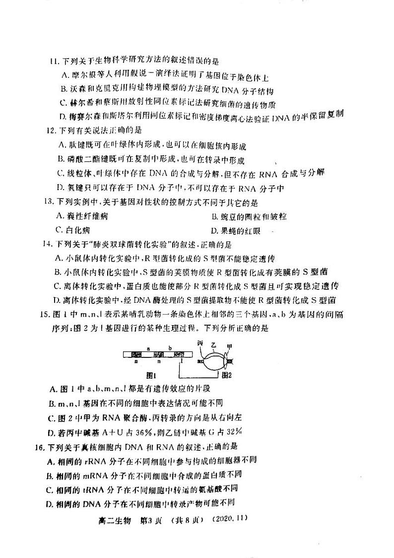 2021洛阳高二上学期期中考试生物试题扫描版含答案第3页