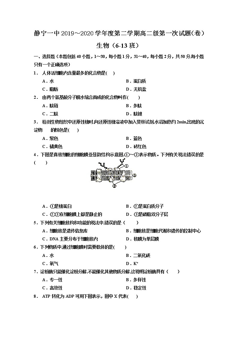 2020静宁县一中高二下学期第一次月考生物试题含答案第1页