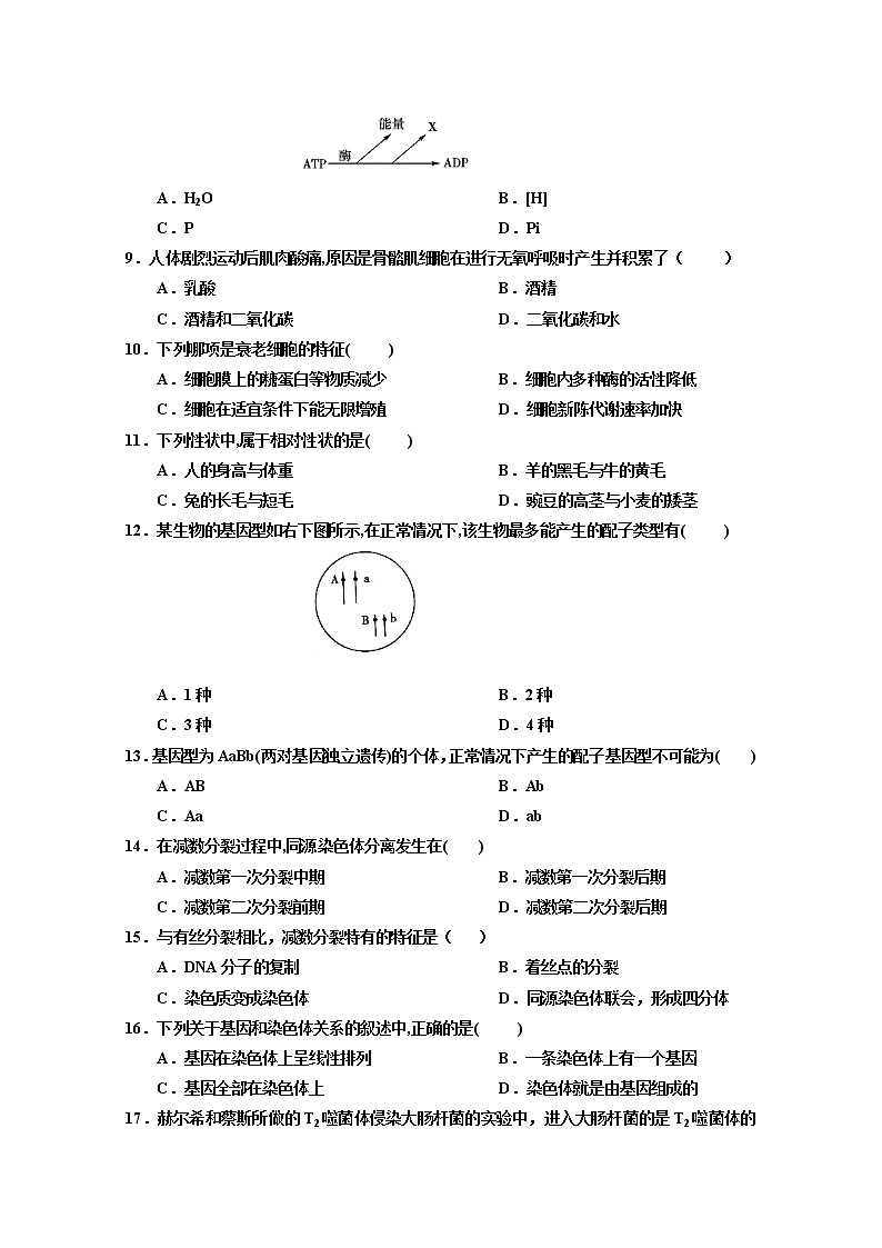 2020静宁县一中高二下学期第一次月考生物试题含答案第2页