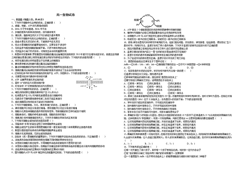 2021淮北树人高级中学高一下学期第四次阶段考试生物试卷含答案第1页