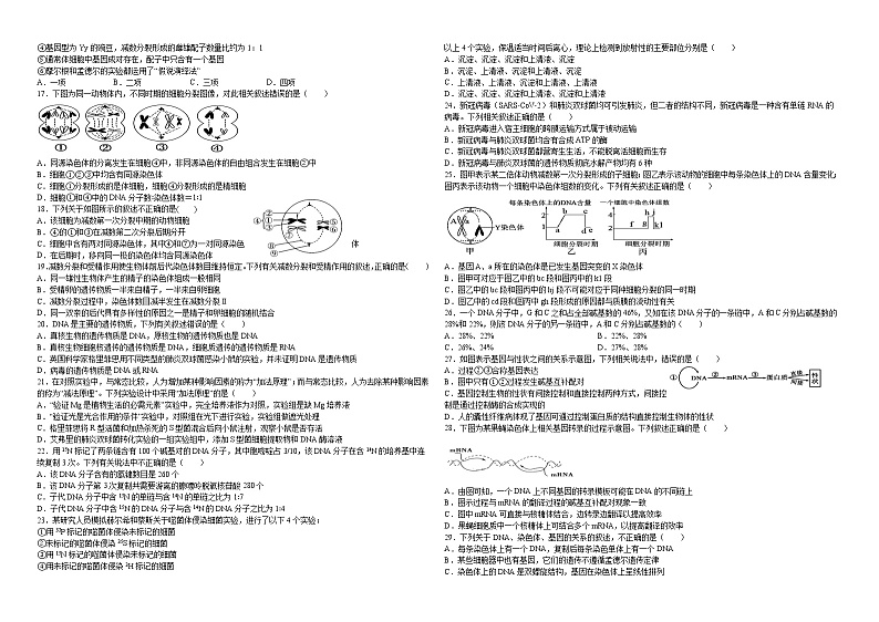 2021淮北树人高级中学高一下学期第四次阶段考试生物试卷含答案第2页