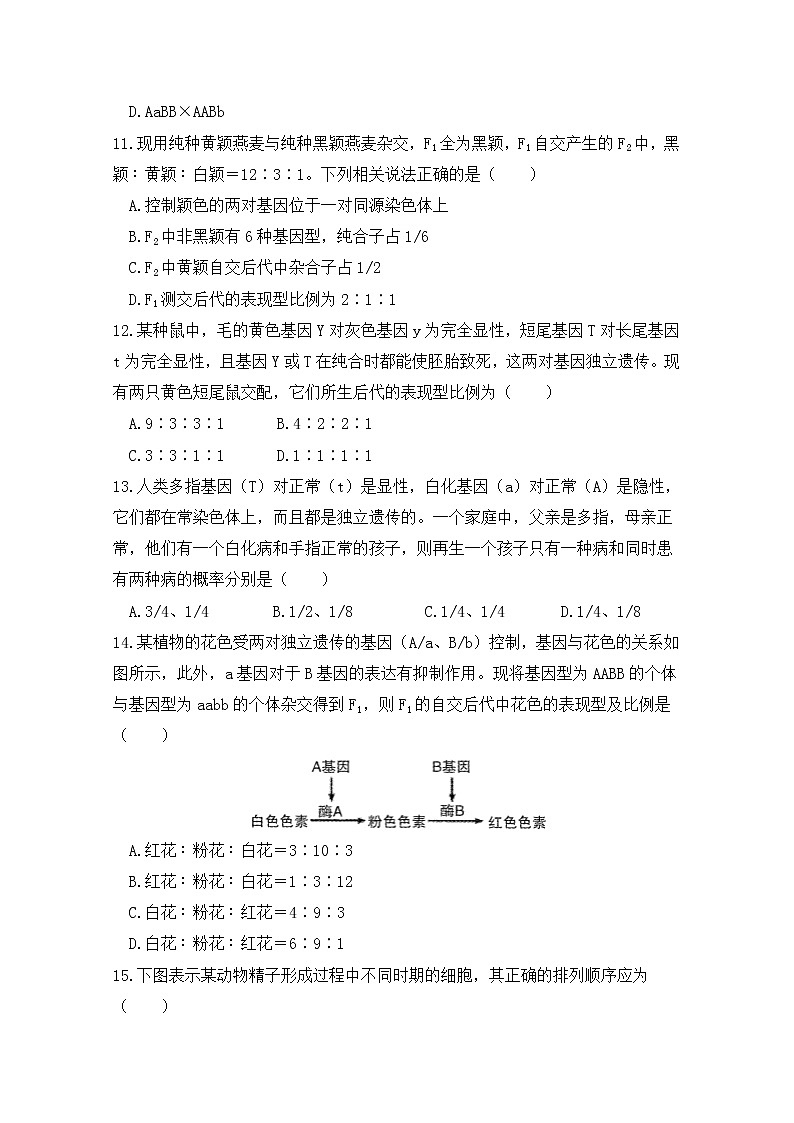 2021咸阳实验中学―高一第二学期第一次月考生物试卷含答案第3页