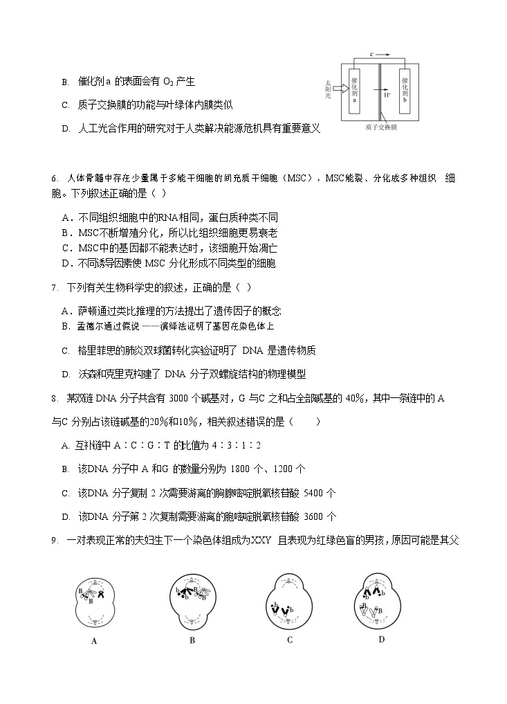 2021江苏省启东中学高一下学期第一次阶段测试生物试题含答案03
