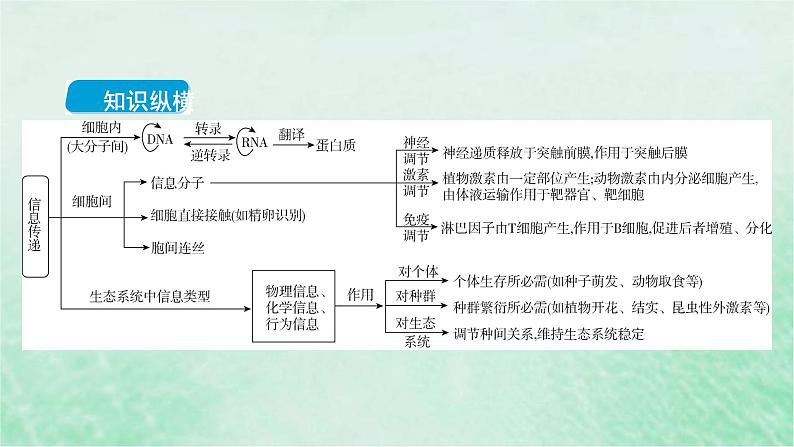 高考生物二轮复习热点专训5信息传递课件第2页