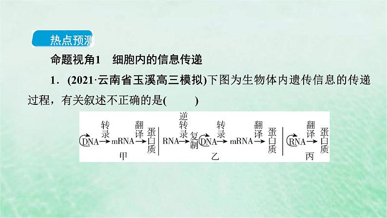高考生物二轮复习热点专训5信息传递课件第3页