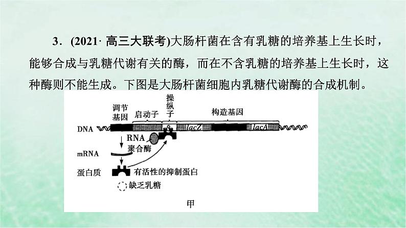 高考生物二轮复习热点专训5信息传递课件第8页