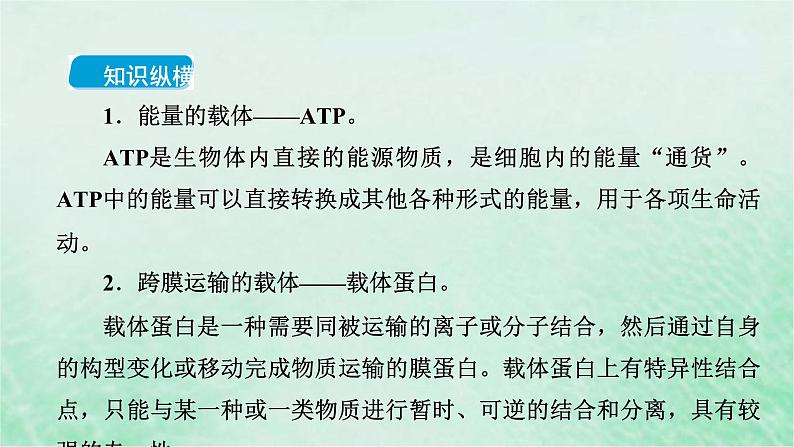 高考生物二轮复习热点专训8载体课件第2页