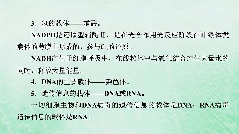 高考生物二轮复习热点专训8载体课件第3页