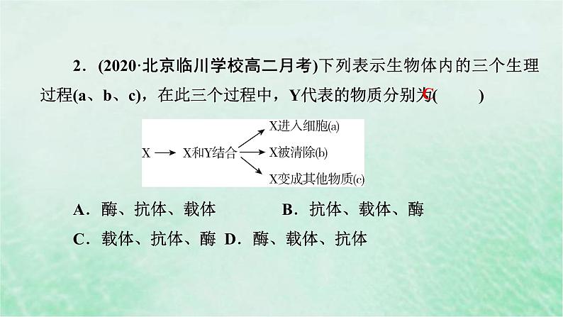 高考生物二轮复习热点专训8载体课件第6页