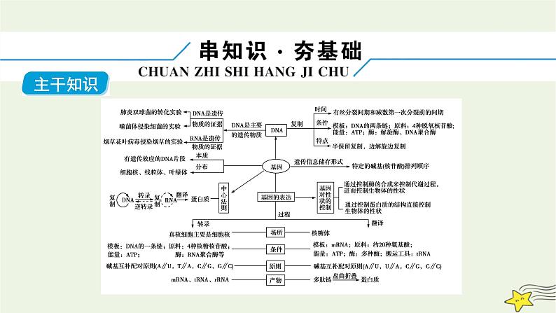 高考生物二轮复习板块2以基因为主导的遗传变异系统专题5遗传的分子基础课件第6页