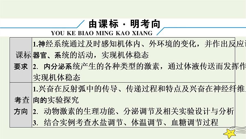 高考生物二轮复习板块3以调节为基础的稳态系统专题9神经调节与体液调节课件第5页