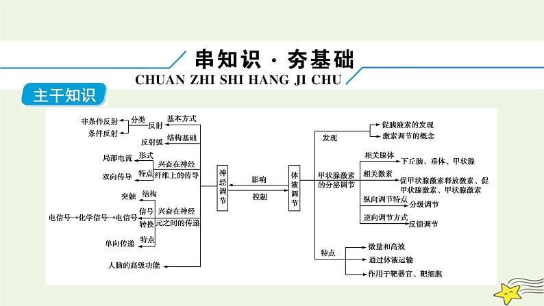 高考生物二轮复习板块3以调节为基础的稳态系统专题9神经调节与体液调节课件第6页