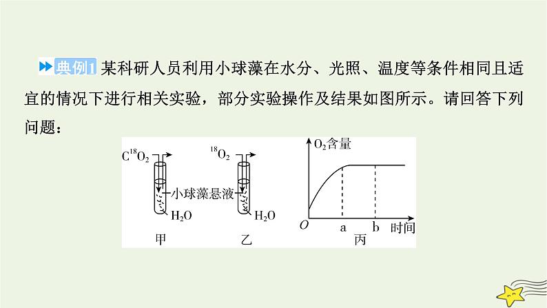 高考生物二轮复习板块4实验与探究专题13实验常考题型增分指导课件04