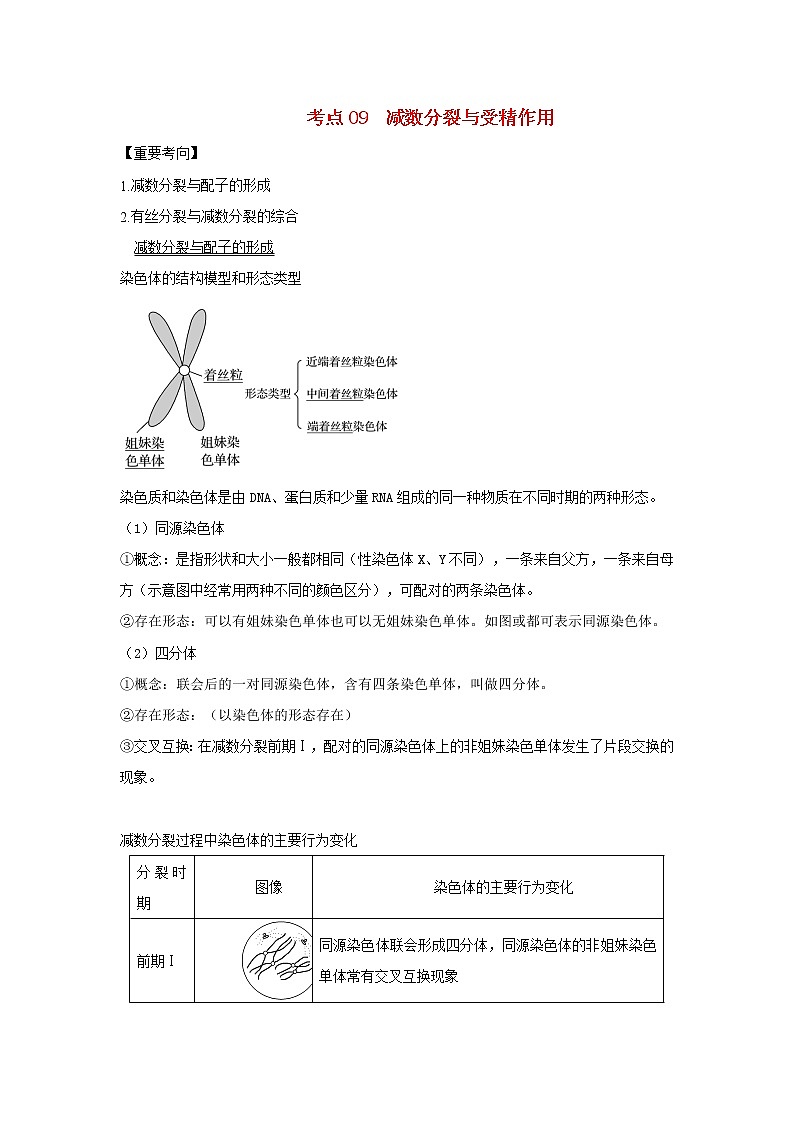 浙江专用高考生物一轮复习考点09减数分裂与受精作用含解析第1页