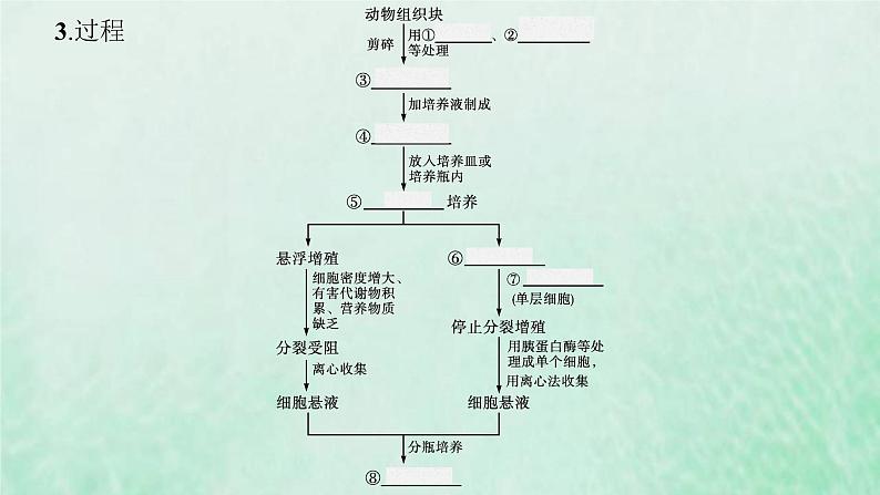 新人教版高中生物选择性必修3第二章细胞工程第2节第1课时动物细胞培养课件第8页