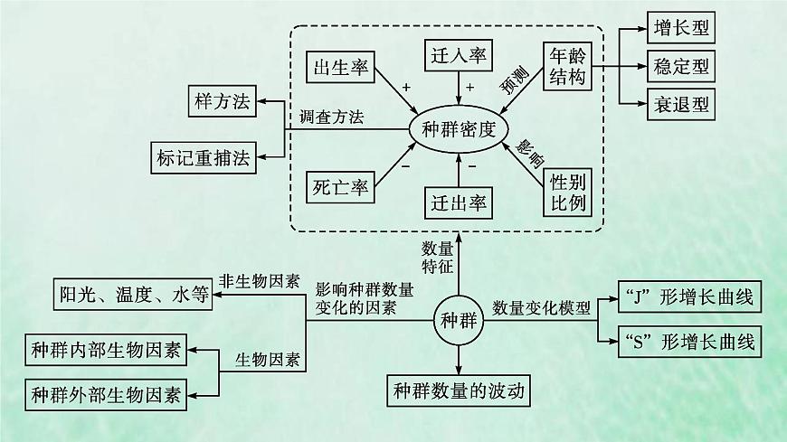 新人教版高中生物選擇性必修2第一章種群及其動態(tài)本章整合課件第4頁