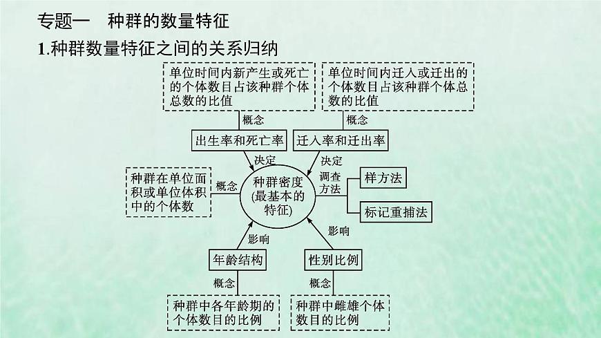 新人教版高中生物選擇性必修2第一章種群及其動態(tài)本章整合課件第6頁