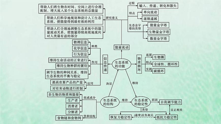 新人教版高中生物選擇性必修2第三章生態(tài)系統(tǒng)及其穩(wěn)定性本章整合課件第4頁(yè)