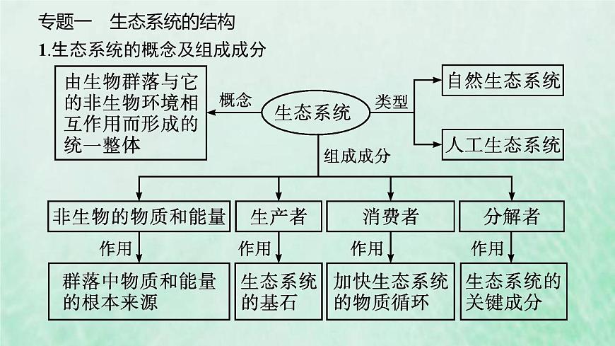新人教版高中生物選擇性必修2第三章生態(tài)系統(tǒng)及其穩(wěn)定性本章整合課件第6頁(yè)