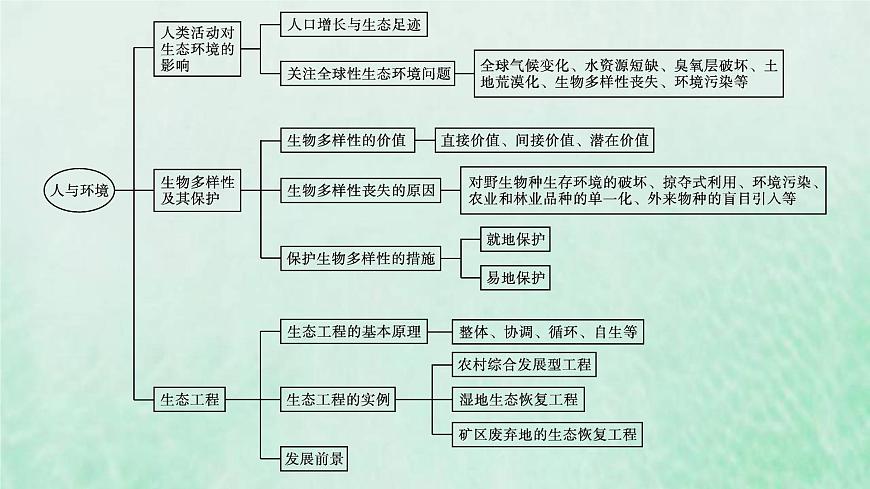 新人教版高中生物選擇性必修2第四章人與環(huán)境本章整合課件第4頁(yè)