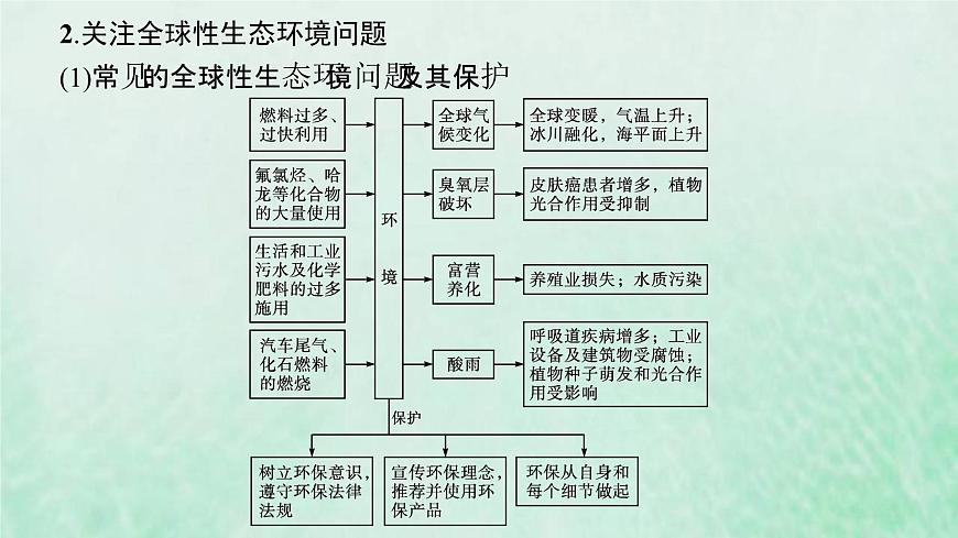 新人教版高中生物選擇性必修2第四章人與環(huán)境本章整合課件第8頁(yè)