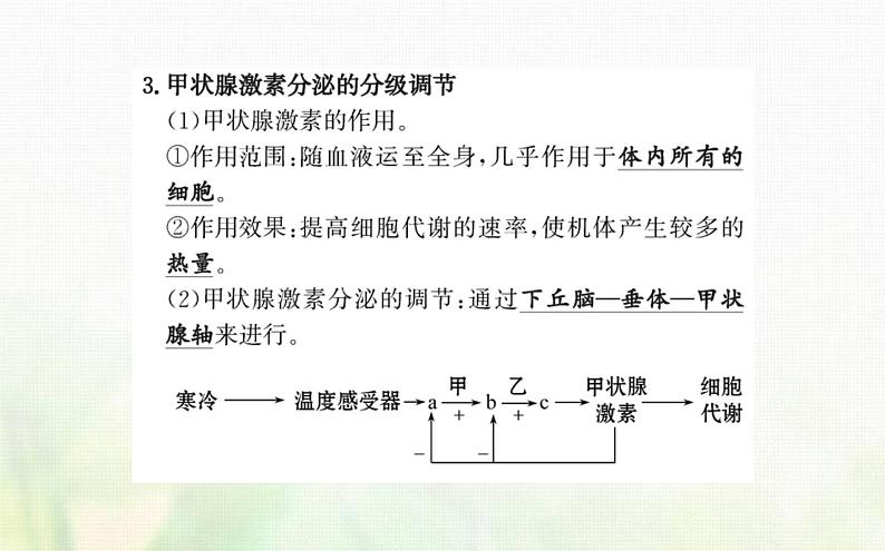 新人教版高中生物选择性必修1第3章体液调节第2节激素调节的过程课件07