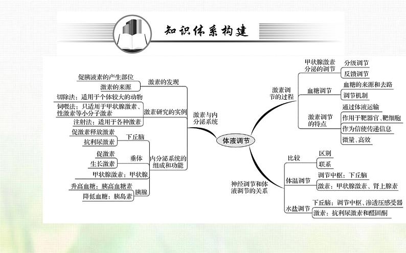 新人教版高中生物选择性必修1第3章体液调节阶段复习课课件02