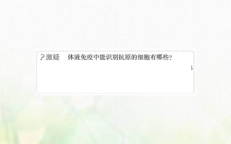 新人教版高中生物选择性必修1第4章免疫调节第2节特异性免疫课件07