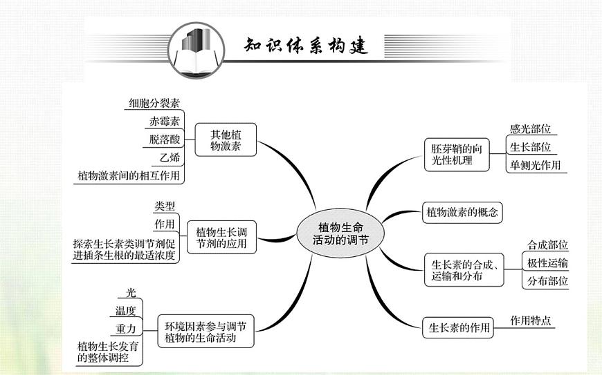 新人教版高中生物選擇性必修1第5章植物生命活動的調節(jié)階段復習課課件第2頁