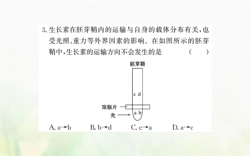 新人教版高中生物選擇性必修1第5章植物生命活動的調節(jié)階段復習課課件第6頁