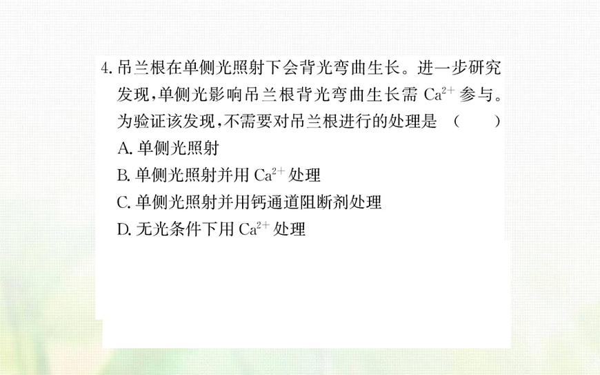 新人教版高中生物選擇性必修1第5章植物生命活動的調節(jié)階段復習課課件第8頁