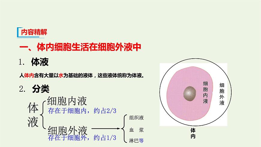 新人教版高中生物選擇性必修1第1章人體的內(nèi)環(huán)境與穩(wěn)態(tài)第1節(jié)細(xì)胞生活的環(huán)境課件第7頁