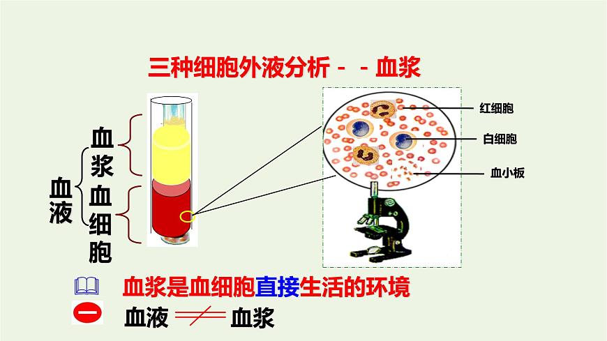 新人教版高中生物選擇性必修1第1章人體的內(nèi)環(huán)境與穩(wěn)態(tài)第1節(jié)細(xì)胞生活的環(huán)境課件第8頁