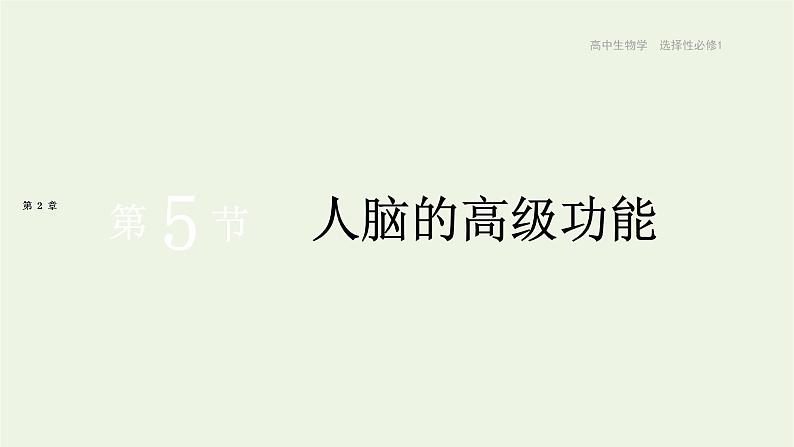 新人教版高中生物选择性必修1第2章神经调节第5节人脑的高级功能课件01