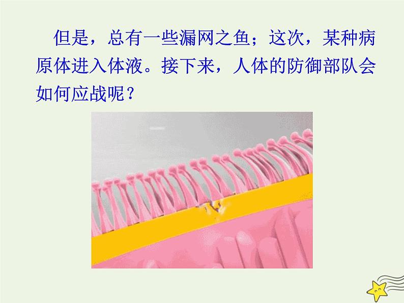 新人教版高中生物选择性必修1第4章免疫调节第2节特异性免疫课件05