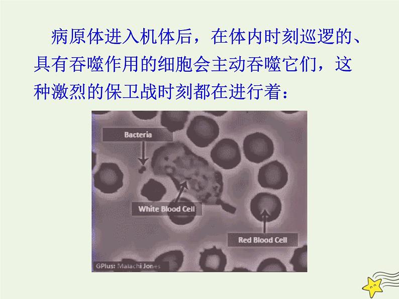 新人教版高中生物选择性必修1第4章免疫调节第2节特异性免疫课件06