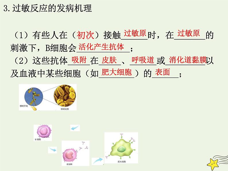 新人教版高中生物选择性必修1第4章免疫调节第3节免疫失调课件07
