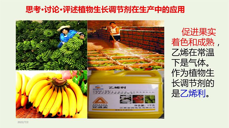 新人教版高中生物選擇性必修1第5章植物生命活動(dòng)的調(diào)節(jié)第3節(jié)植物生長(zhǎng)調(diào)節(jié)劑的應(yīng)用課件第7頁(yè)