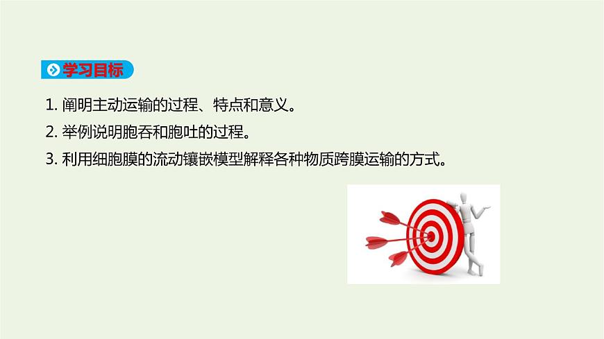 新人教版高中生物必修1第4章細胞的物質(zhì)輸入和輸出第2節(jié)主動運輸與胞吞胞吐課件第2頁